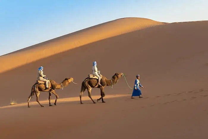 Camel Ride