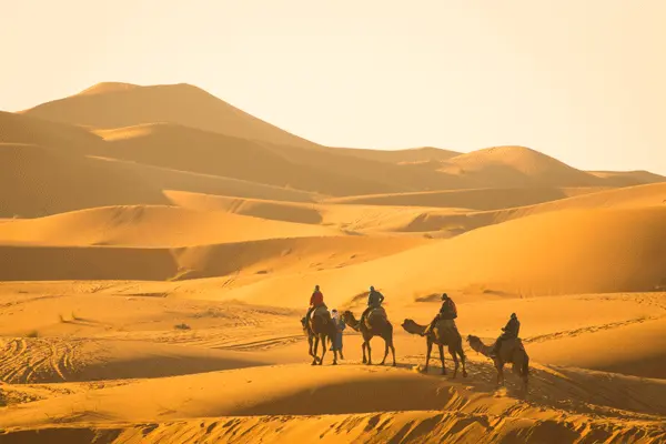 Sahara Desert