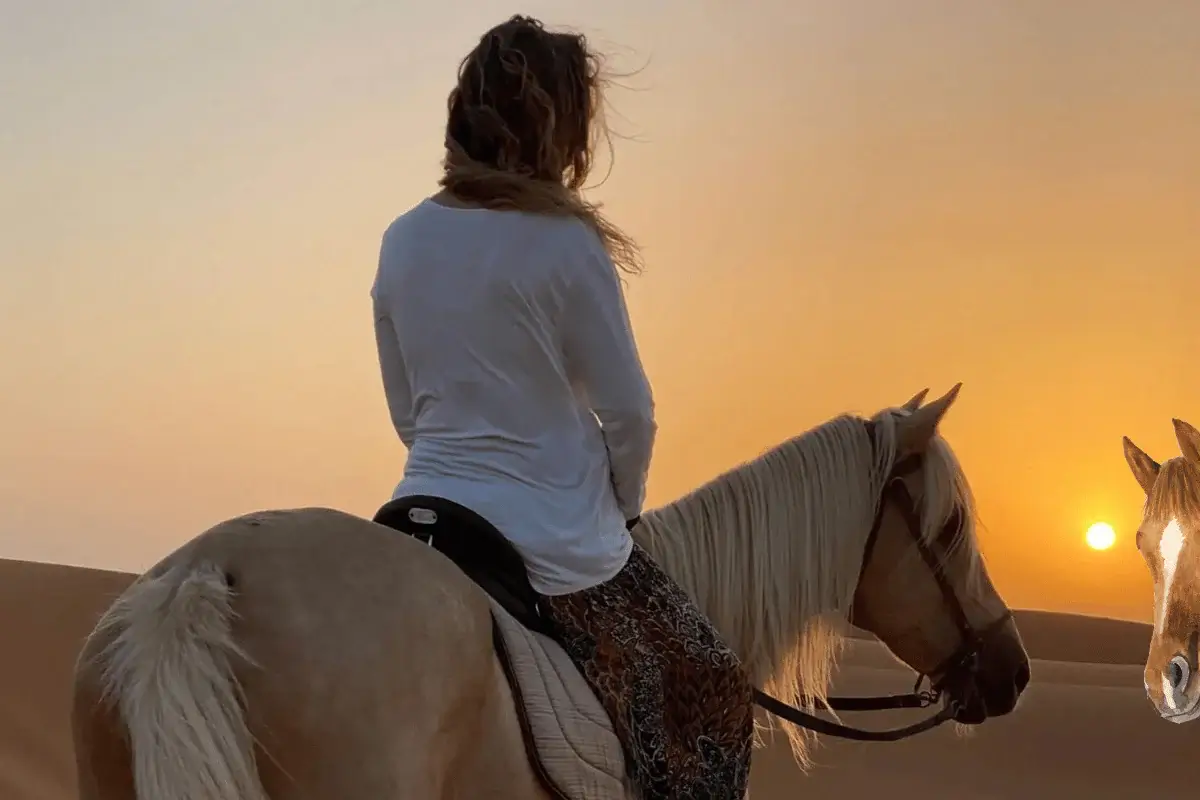 horse riding merzouga, morocco horses, horseback riding morocco, horse trekking morocco, horseback riding in morocco, horse riding desert, things to do in merzouga, merzouga morocco, desert merzouga, merzouga desert tours, merzouga activities, things to do in sahara desert