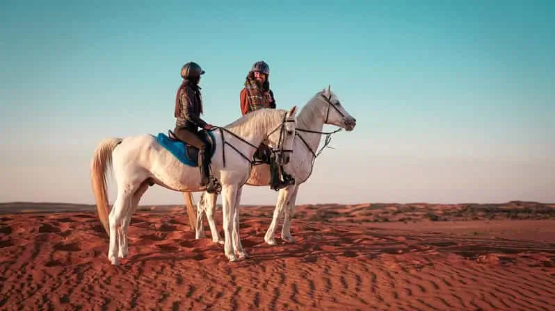 horse riding merzouga, morocco horses, horseback riding morocco, horse trekking morocco, horseback riding in morocco, horse riding desert, things to do in merzouga, merzouga morocco, desert merzouga, merzouga desert tours, merzouga activities, things to do in sahara desert