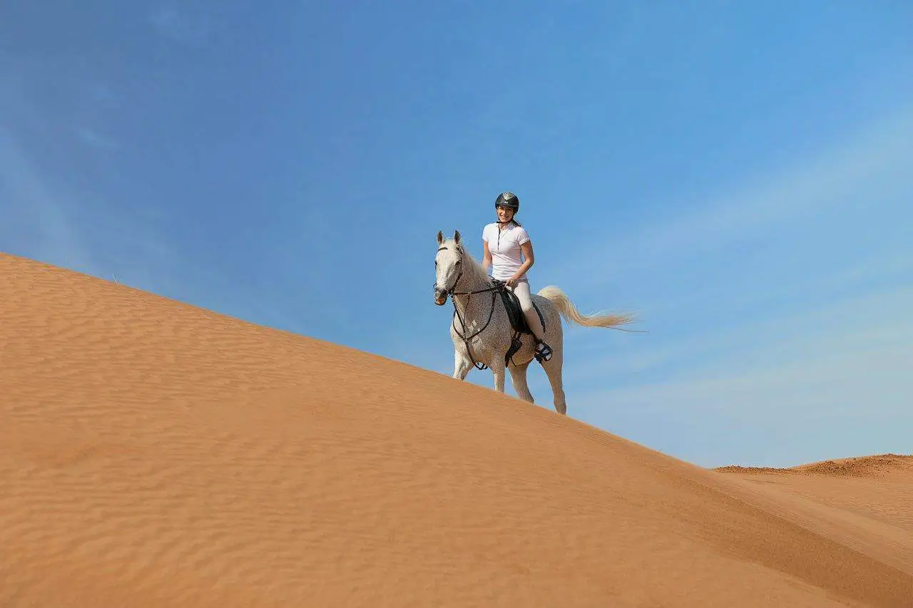 horse riding merzouga, morocco horses, horseback riding morocco, horse trekking morocco, horseback riding in morocco, horse riding desert, things to do in merzouga, merzouga morocco, desert merzouga, merzouga desert tours, merzouga activities, things to do in sahara desert